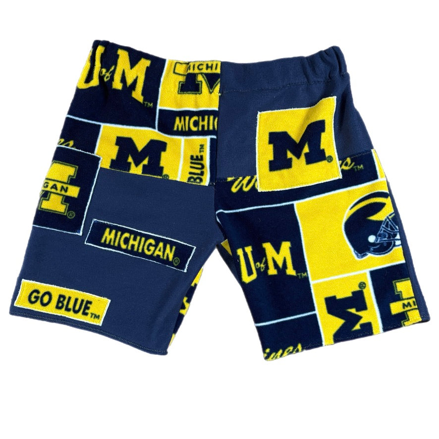 Michigan Fleece Shorts (M)